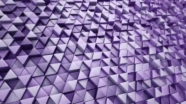 紫色三角形波纹动画 无缝环路动画的技术背景 — 图库视频影像