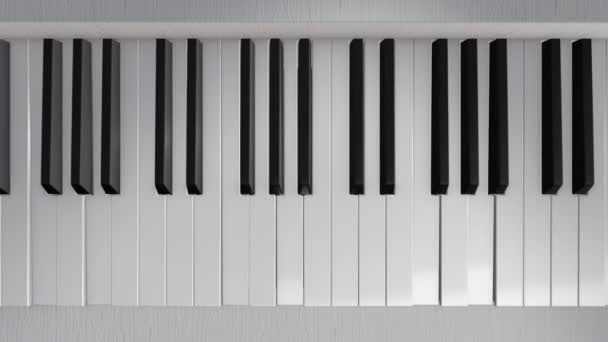 Background Animation Play Piano Pushing Piano Keys Animation Seamless Loop — Stock Video
