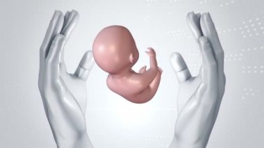 Rahminden insan ve doğmamış bebek eli olan soyut bir bilimsel film. Kusursuz döngünün animasyonu.