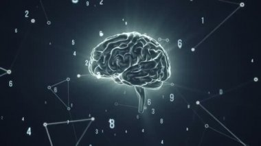 Gri arka planda uçan verilerle dönen insan beyninin animasyonu. Kusursuz döngünün animasyonu