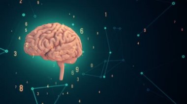 Turkuaz arka planda uçuşan verilerle donatılmış pembe insan beyni animasyonu. Kusursuz döngünün animasyonu