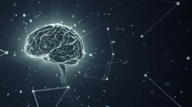 Gri arka planda uçan verilerle dönen insan beyninin animasyonu. Kusursuz döngünün animasyonu