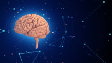 Mavi arka planda uçuşan verilerle dönen pembe insan beyninin animasyonu. Kusursuz döngünün animasyonu