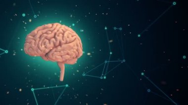 Turkuaz arka planda uçuşan verilerle donatılmış pembe insan beyni animasyonu. Kusursuz döngünün animasyonu