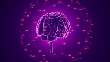 Arka planda dönen insan beyninin animasyonu, bilim ve sosyal teknoloji kavramı. Kusursuz döngünün animasyonu. 