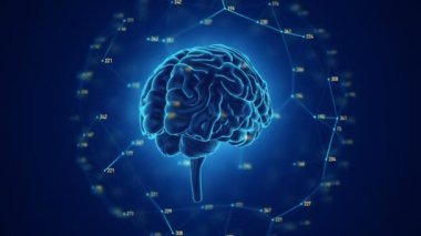 Arka planda dönen insan beyninin animasyonu, bilim ve sosyal teknoloji kavramı. Kusursuz döngünün animasyonu. 