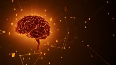 Gri arka planda uçan verilerle turuncu insan beyninin döndürülmesi. Kusursuz döngünün animasyonu