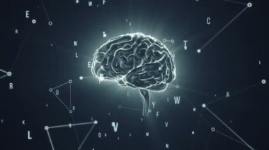 Gri arka planda uçan verilerle dönen insan beyninin animasyonu. Kusursuz döngünün animasyonu