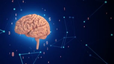 Mavi arka planda uçuşan verilerle dönen pembe insan beyninin animasyonu. Kusursuz döngünün animasyonu