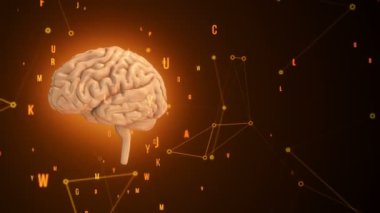 Turuncu arka planda uçan verilerle donatılmış pembe insan beyninin animasyonu. Kusursuz döngünün animasyonu