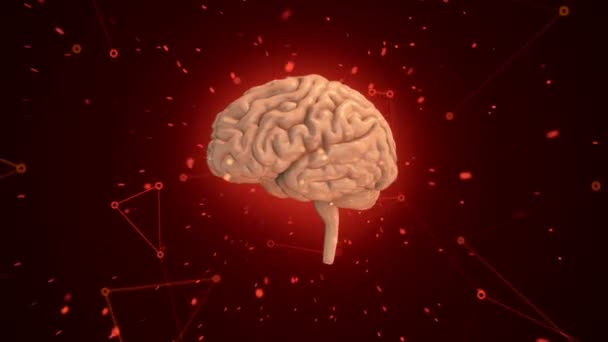 Animacja Rotacji Różowy Ludzki Mózg Latających Danych Wokół Czerwonym Tle — Wideo stockowe