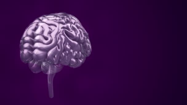 Анимация Вращения Человеческого Мозга Фиолетовом Фоне Концепция Науки Социальных Технологий — стоковое видео