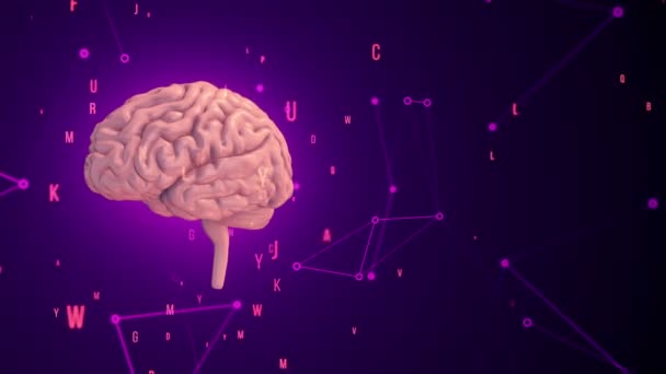 Animation Rotation Pink Human Brain Flying Data Purple Background Animation — Stock Video