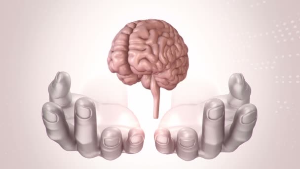 Fond Abstrait Avec Animation Rotation Cerveau Entre Les Mains Abstraites — Video