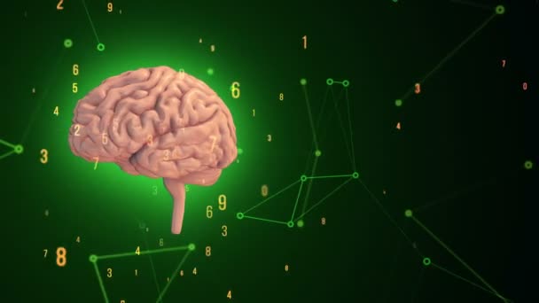 用绿色背景下的飞行数据对旋转粉色人脑进行动画化 无缝循环动画 — 图库视频影像