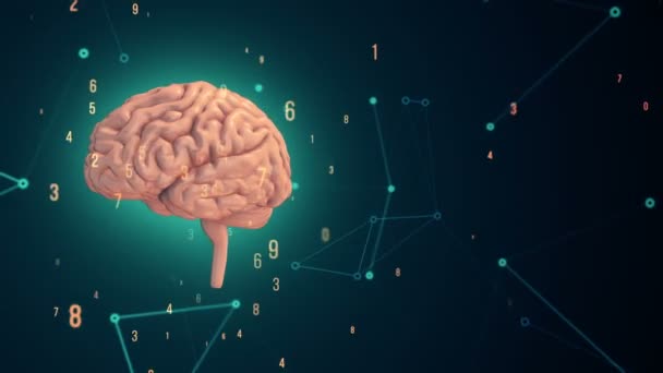 ターコイズを背景に飛行データを持つ回転ピンクの人間の脳のアニメーション シームレスループのアニメーション — ストック動画
