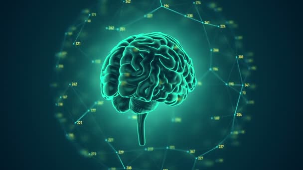 科学技術と社会技術の概念を背景にした回転人間の脳のアニメーションですシームレスループのアニメーション — ストック動画