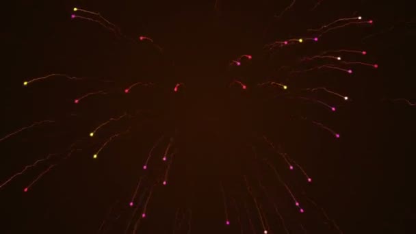 Fundo Abstrato Com Animação Fogos Artifício Voadores Luz Partículas Coloridas — Vídeo de Stock