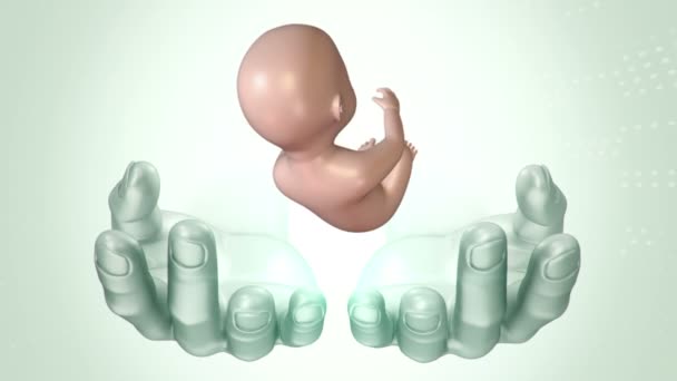 子宮から人間と胎児の手で要約科学映画 シームレスループのアニメーション — ストック動画