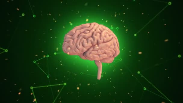 用绿色背景下的飞行数据对旋转粉色人脑进行动画化 无缝循环动画 — 图库视频影像