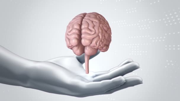 Sfondo Con Animazione Interfaccia Astratta Corpo Umano Testa Mani Cervello — Video Stock