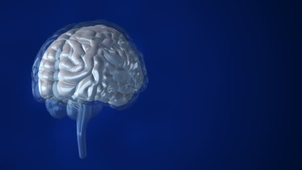 Mavi Arka Planda Insan Beyninin Dönüşümünün Animasyonu Bilim Sosyal Teknoloji — Stok video