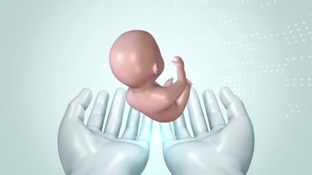 Film Scientifique Abstrait Avec Les Mains Homme Bébé Naître Utérus — Video