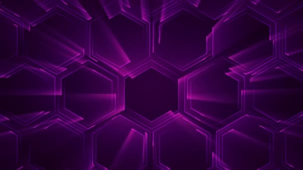 Abstract Technology Background Animation Circuit Electric Signal Particles Purple Light — Stock Video