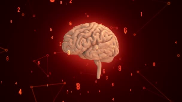 Animation Rotation Pink Human Brain Flying Data Red Background Animation — Stockvideo