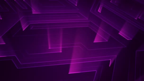 Abstract Technology Background Animation Circuit Electric Signal Particles Purple Light — Stock Video