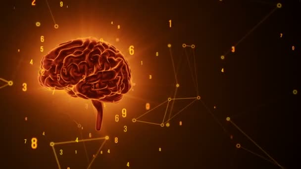 Анімація Обертання Помаранчевого Людського Мозку Літаючими Даними Сірому Фоні Анімація — стокове відео