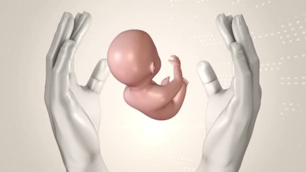 Filme Científico Abstrato Com Mãos Bebê Humano Por Nascer Útero — Vídeo de Stock