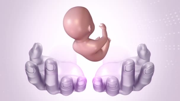 Abstract Scientific Movie Hands Human Unborn Baby Womb Animation Seamless — 비디오