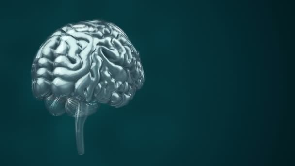 Animacja Rotacji Ludzkiego Mózgu Zielonym Tle Koncepcja Nauki Technologii Społecznych — Wideo stockowe