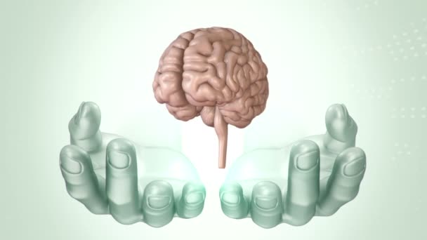 人間の手の中での脳の回転アニメーションを用いた抽象的な背景 シームレスループのアニメーション — ストック動画