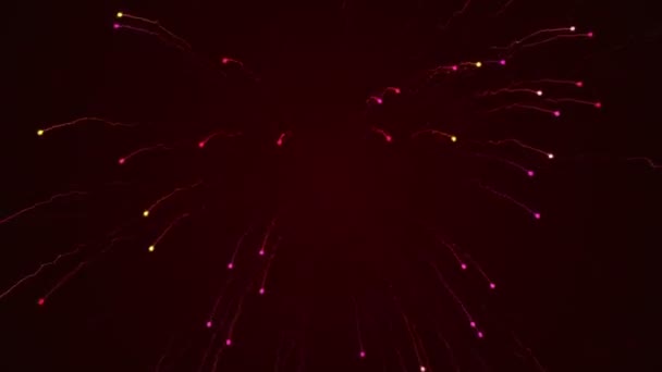 Абстрактный Фон Анимацией Летающих Фейерверков Раскрашенных Яркий Свет Анимация Бесшовного — стоковое видео