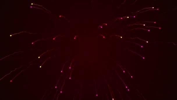 Fondo Abstracto Con Animación Fuegos Artificiales Voladores Coloridas Partículas Luz — Vídeos de Stock