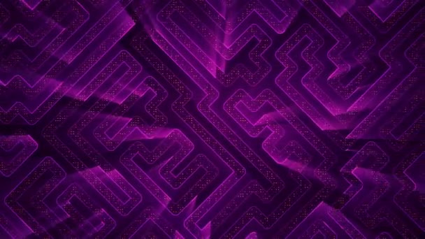 Abstract Technology Background Animation Circuit Electric Signal Particles Purple Light — Stock Video