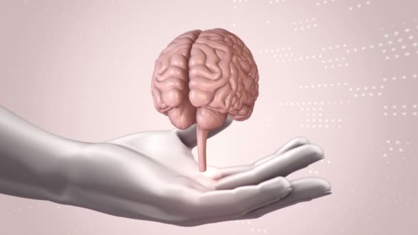 Abstract Background Animation Rotation Brain Abstract Hands Human Animation Seamless — Stock Video