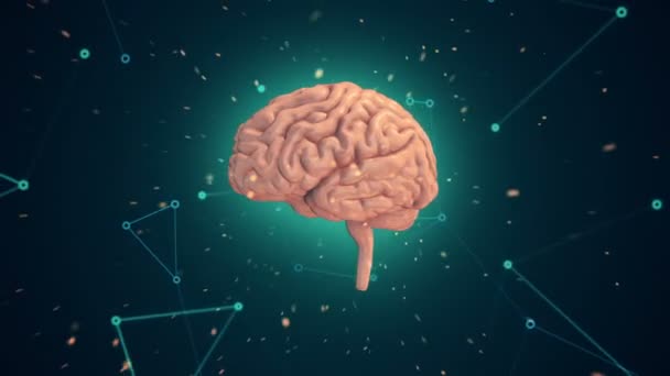 Анимация Вращения Розового Человеческого Мозга Летающими Данными Вокруг Бирюзовом Фоне — стоковое видео