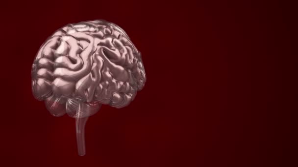 赤の背景科学社会技術の概念に基づいた回転人間の脳のアニメーションですシームレスループのアニメーション — ストック動画