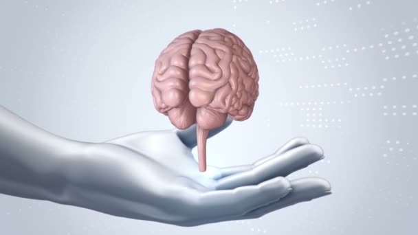 Abstraktní Pozadí Animací Rotace Mozek Abstraktních Rukou Člověka Animace Bezešvé — Stock video