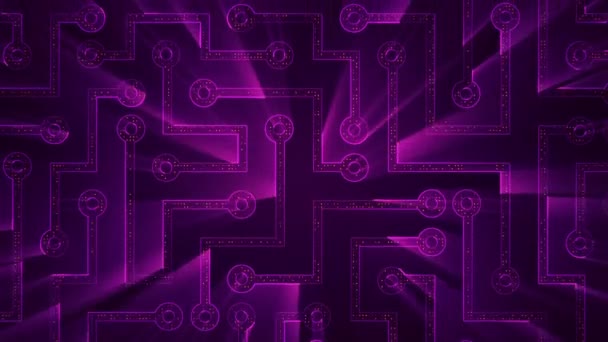 Абстрактный Технологический Фон Анимацией Схем Электрического Сигнала Полос Фиолетового Света — стоковое видео
