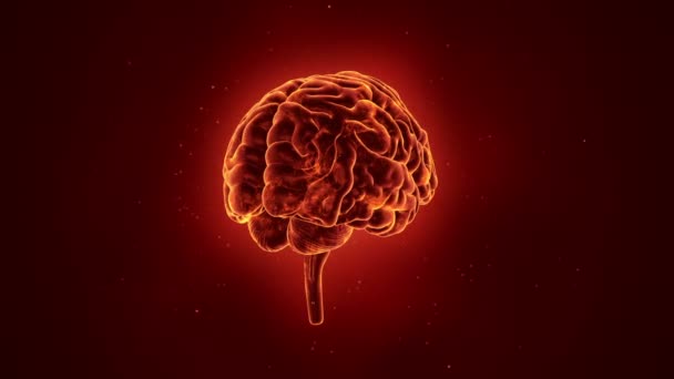 Animación Rotación Del Cerebro Humano Sobre Fondo Rojo Ciencia Concepto — Vídeo de stock