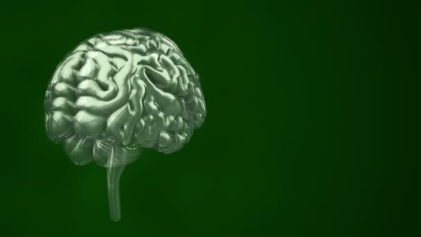 緑の背景科学社会技術の概念に基づく人間の脳の回転のアニメーションですシームレスループのアニメーション — ストック動画