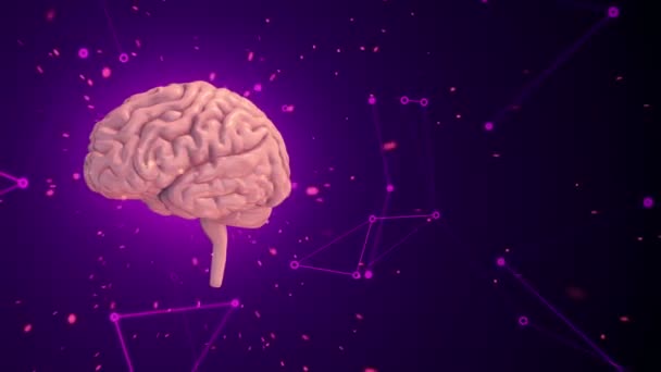 Animatie Van Rotatie Roze Menselijke Hersenen Met Vliegende Gegevens Rond — Stockvideo
