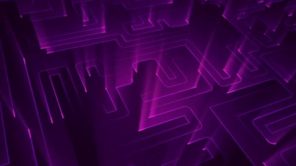 Abstract Technology Background Animation Circuit Electric Signal Particles Purple Light — Stock Video