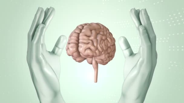 Fondo Abstracto Con Animación Rotación Cerebro Manos Abstractas Humanos Animación — Vídeo de stock