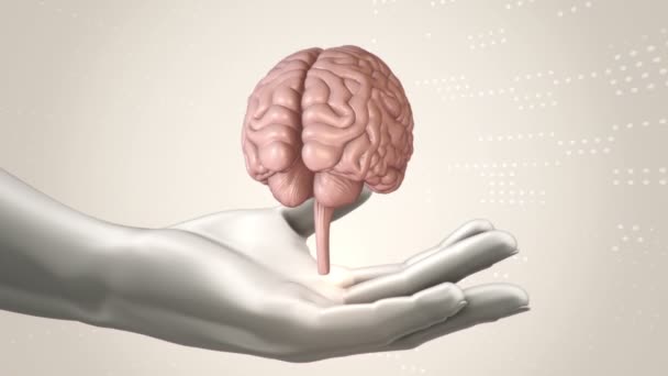 Fond Abstrait Avec Animation Rotation Cerveau Entre Les Mains Abstraites — Video