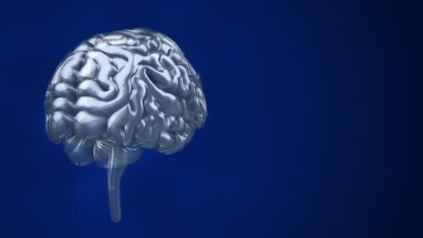 Animazione Della Rotazione Del Cervello Umano Sfondo Blu Scienza Concetto — Video Stock